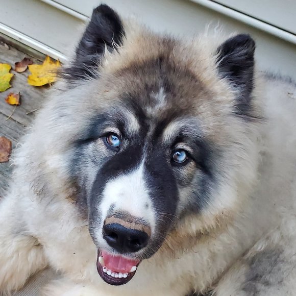 Meet your Posher, Lea - Picture 6 of 6